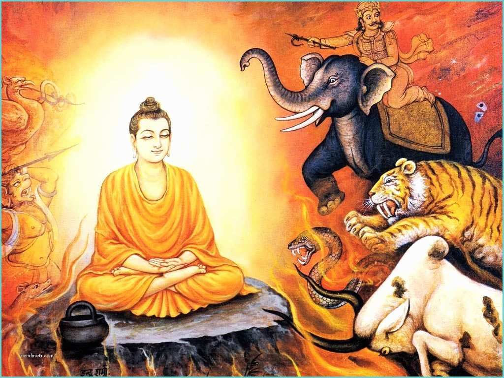 Image Zen Bouddha Gautam Buddha Lord Buddha S Pics & Hd Wallpapers