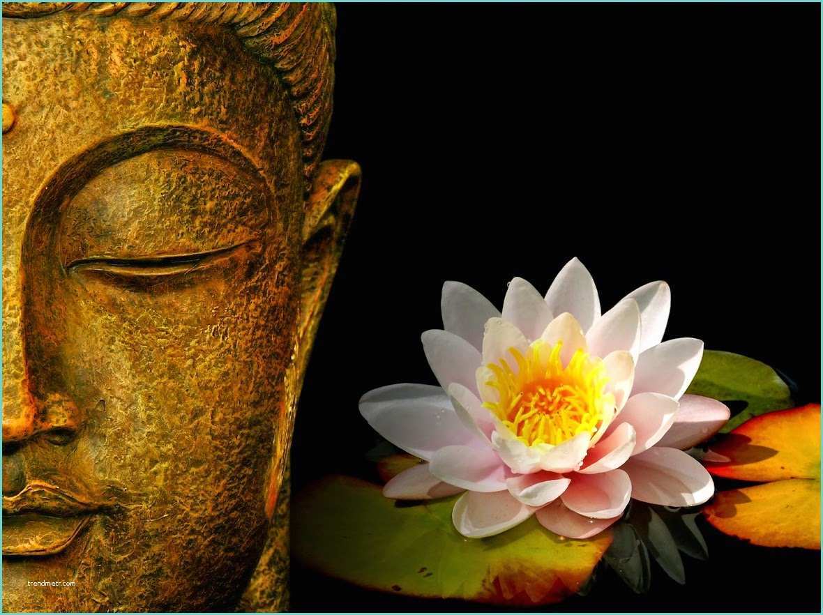 Image Zen Bouddha Lord Buddha Face Art Hd Images and Statue Wallpaper