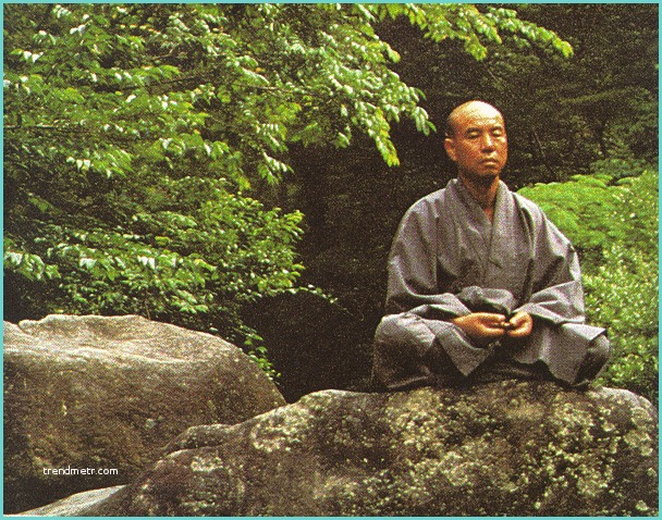 Image Zen Bouddha the History Of Culture Of En Buddhism In the World