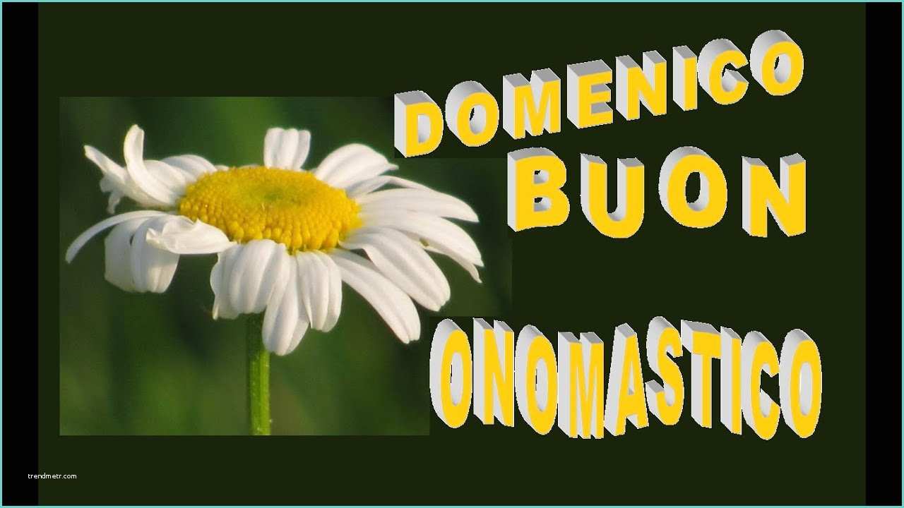 Immagini Buon Onomastico Roberta Domenico Buon Omastico"8 Agosto San Domenico"tanti