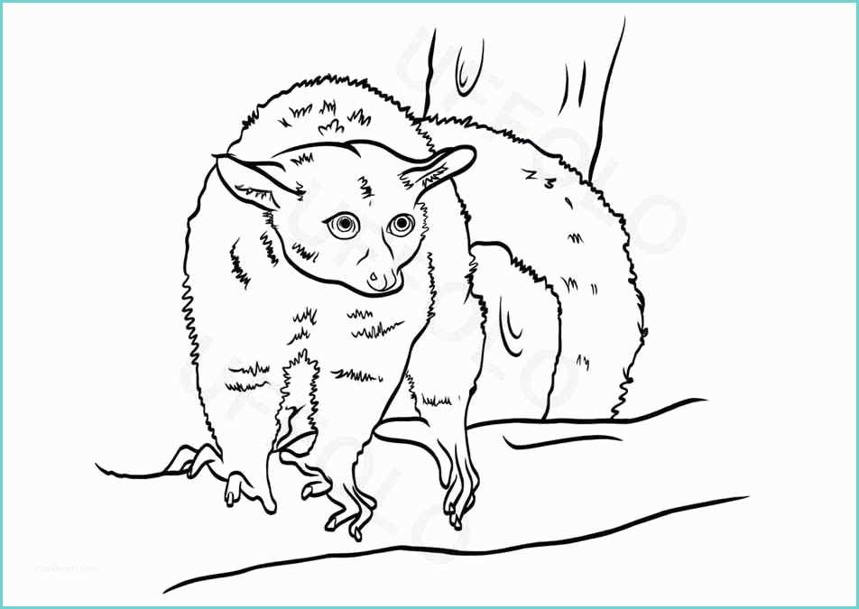 Immagini Da Disegnare Per Bambini Utilizzare I Disegni Degli Animali Per Bambini