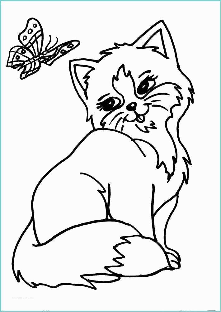 Immagini Da Ricopiare Disegno Gatto Da Colorare Disegno Micio Da Colorare
