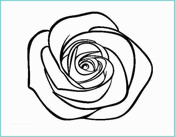 Immagini Di Rose Da Disegnare Disegno Di Fiore Di Rosa Da Colorare Acolore