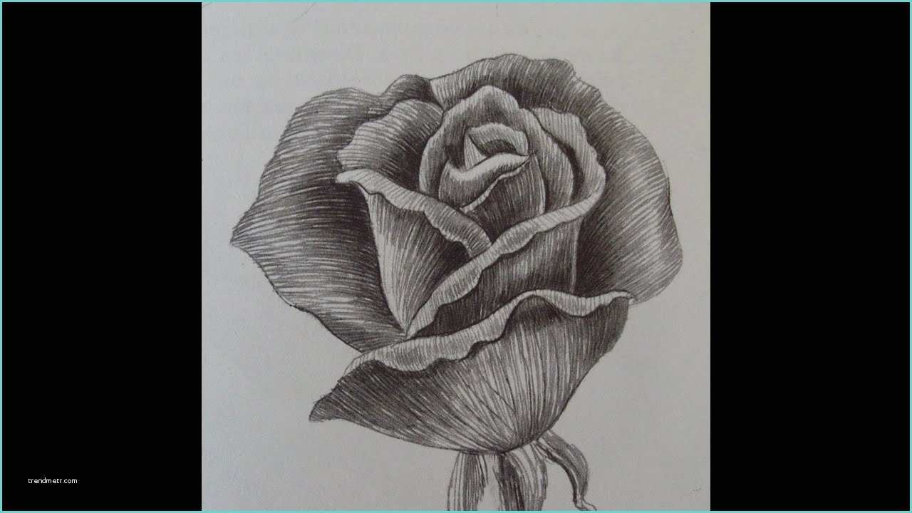 Immagini Di Rose Da Disegnare E Disegnare Una Rosa Passo A Passo