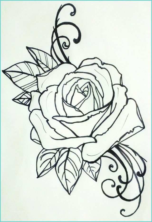 Immagini Di Rose Da Disegnare Tatuaggi Con Rose Significato Disegni E Immagini