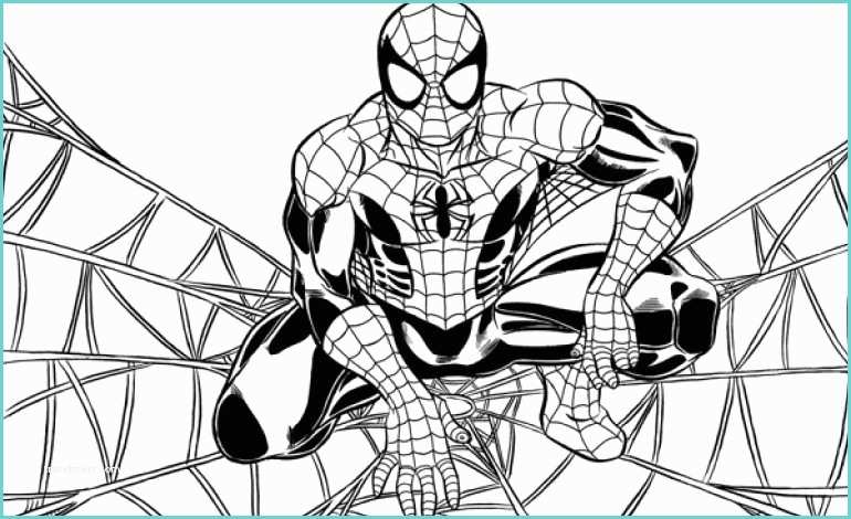 Immagini Di Spiderman Da Colorare Disegni Da Colorare Spiderman
