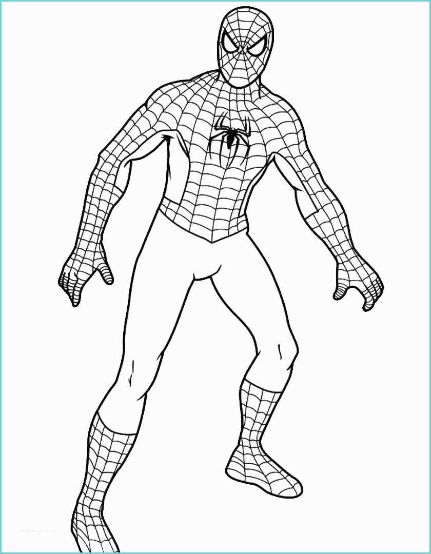 Immagini Di Spiderman Da Colorare Disegni Di Spider Man Da Colorare E Stampare