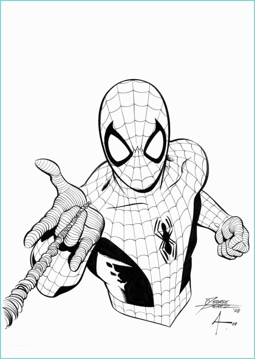 Immagini Di Spiderman Da Colorare Disegni Di Spiderman Da Colorare Foto 22 40
