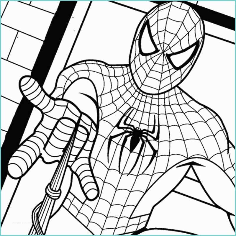 Immagini Di Spiderman Da Colorare Disegni Di Spiderman Da Colorare Foto 4 40