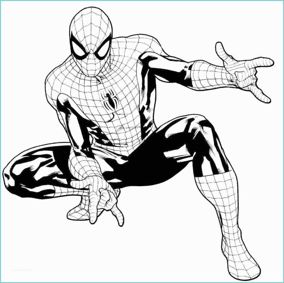 Immagini Di Spiderman Da Colorare Disegni Di Spiderman Da Stampare E Colorare Foto