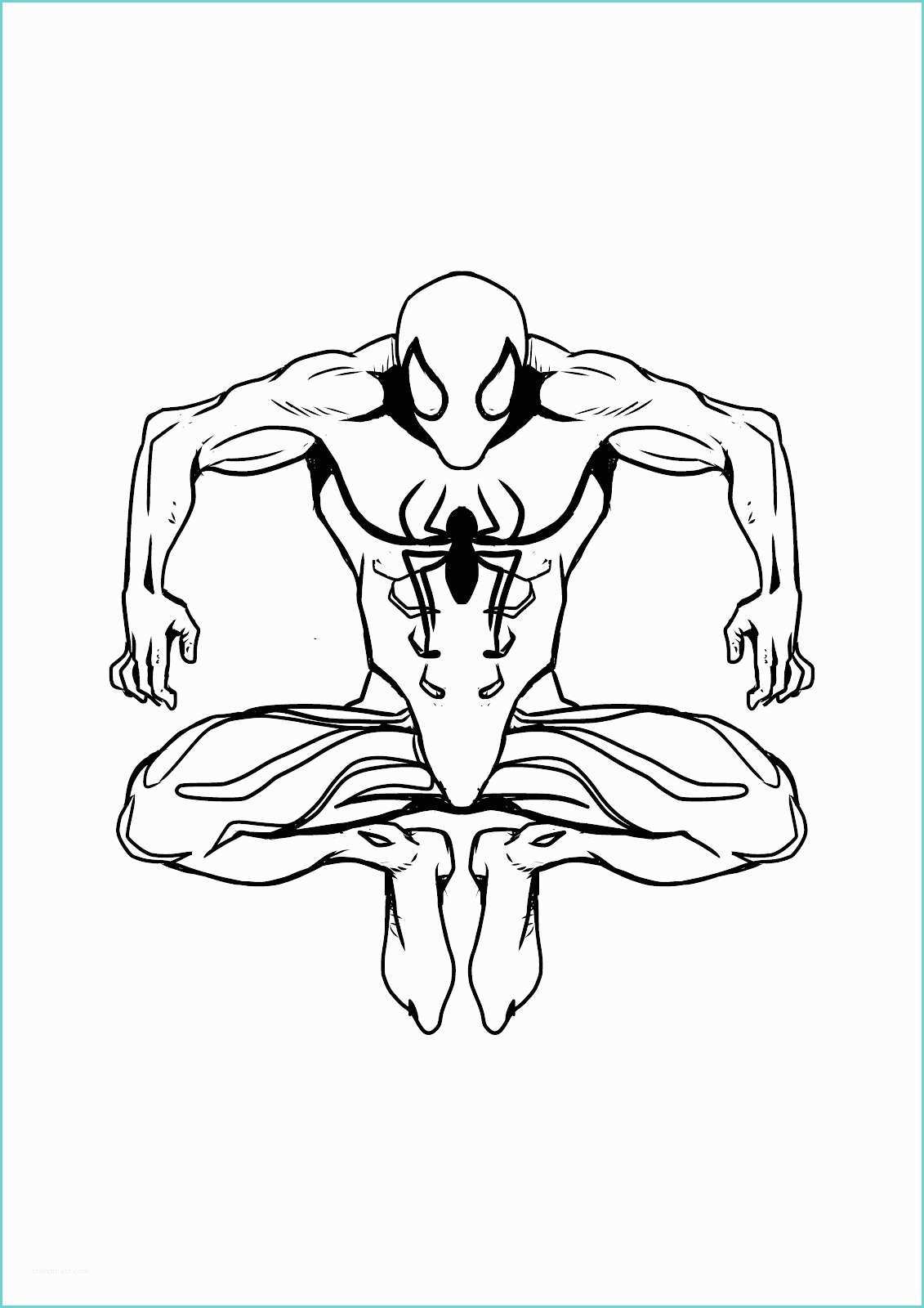 Immagini Di Spiderman Da Colorare Disegno Di Spiderman Da Colorare Online Disegni Da