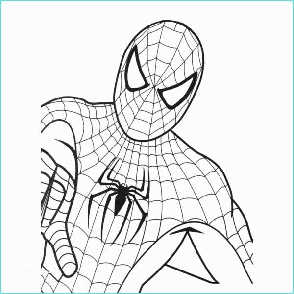 Immagini Di Spiderman Da Colorare Disegno Di Spiderman Da Colorare Per Bambini