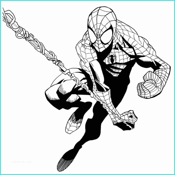 Immagini Di Spiderman Da Colorare Disegno Di Spiderman L Uomo Ragno Da Colorare Per Bambini