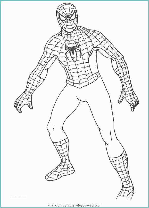 Immagini Di Spiderman Da Colorare Disegno Uomo Ragno 14 Personaggio Cartone Animato Da Colorare