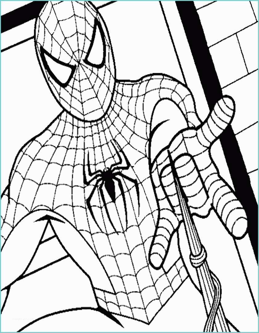 Immagini Di Spiderman Da Colorare Eccezionale Disegni Misti Da Colorare Per Bambini Spider