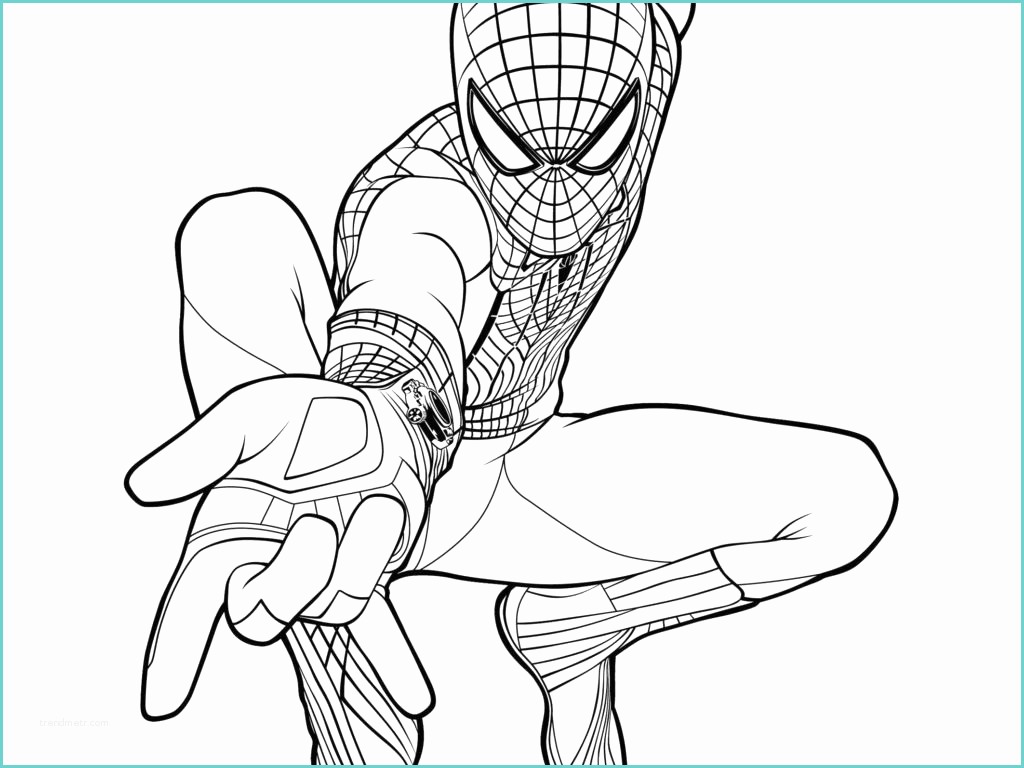 Immagini Di Spiderman Da Colorare I Disegni Di Spiderman
