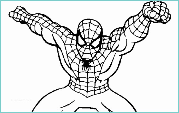 Immagini Di Spiderman Da Colorare Spider Man Da Colorare Cose Per Crescere