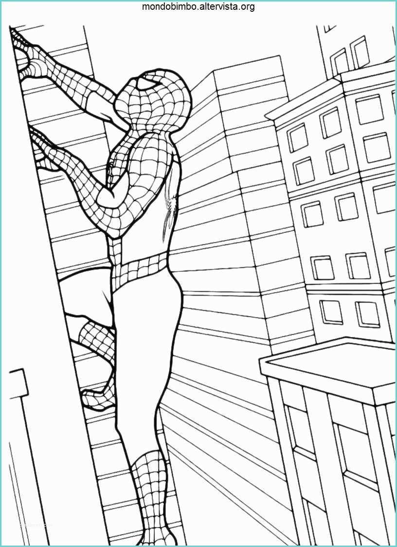 Immagini Di Spiderman Da Colorare Spider Man Da Colorare — Mondo Bimbo