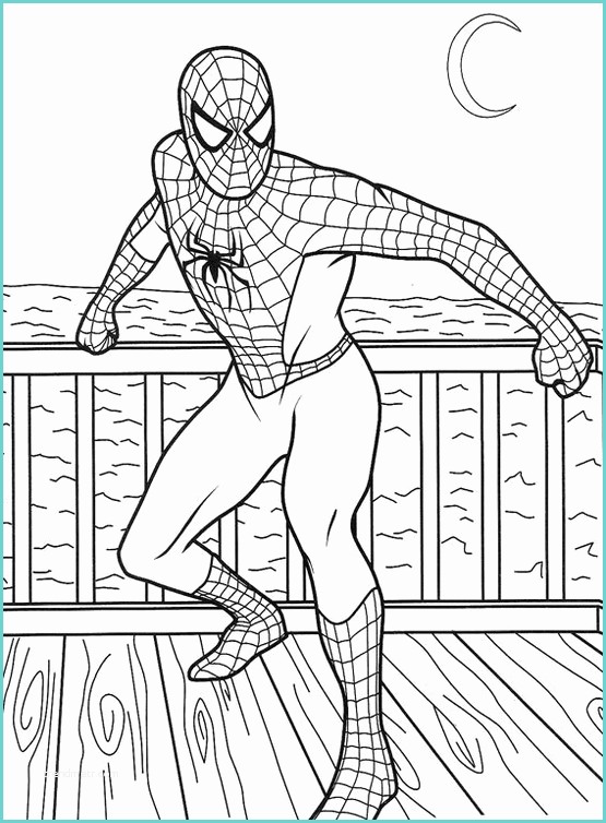 Immagini Di Spiderman Da Colorare Spiderman Da Colorare
