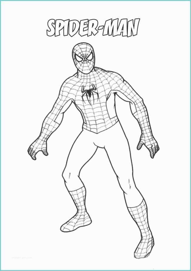 Immagini Di Spiderman Da Colorare Spiderman In Piedi Da Colorare Cose Per Crescere