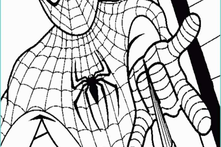 Immagini Di Spiderman Da Disegnare Disegni Di Spider Man Da Colorare E Stampare