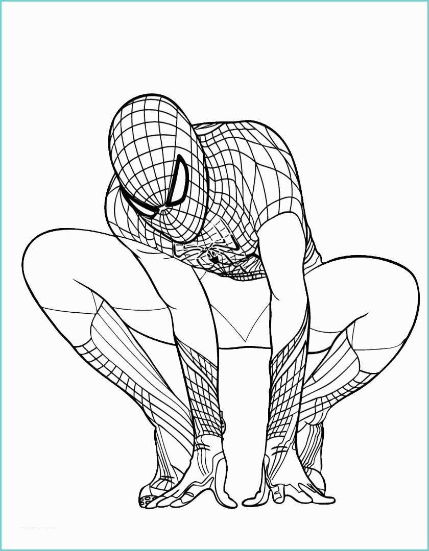 Immagini Di Spiderman Da Disegnare Spider Man Da Colorare Gratis