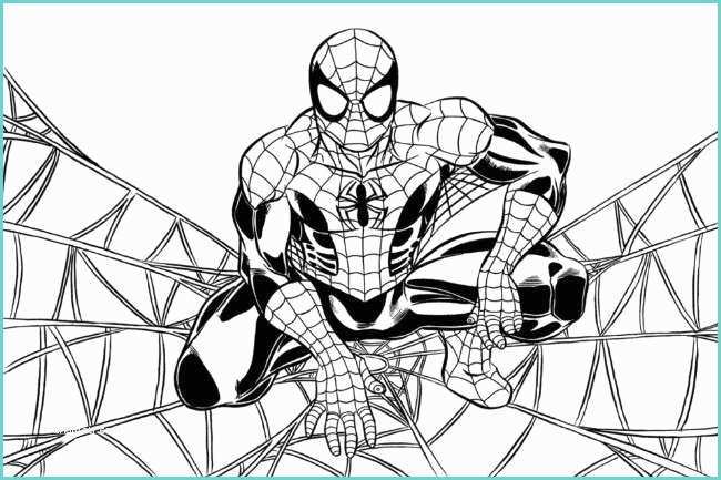 Immagini Di Spiderman Da Disegnare Spiderman Da Colorare Disegni Per Bambini Nanopress Donna