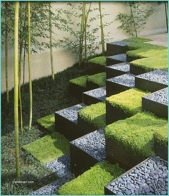 Jardin Contemporain Design Amenagement Jardin Bambou Decoration Des Jardin De Maison