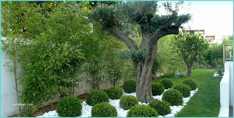 Jardin Contemporain Design Jardin Paysager Contemporain Accueil Design Et Mobilier