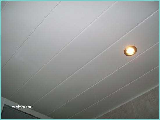 Lambris Plafond Blanc 0052