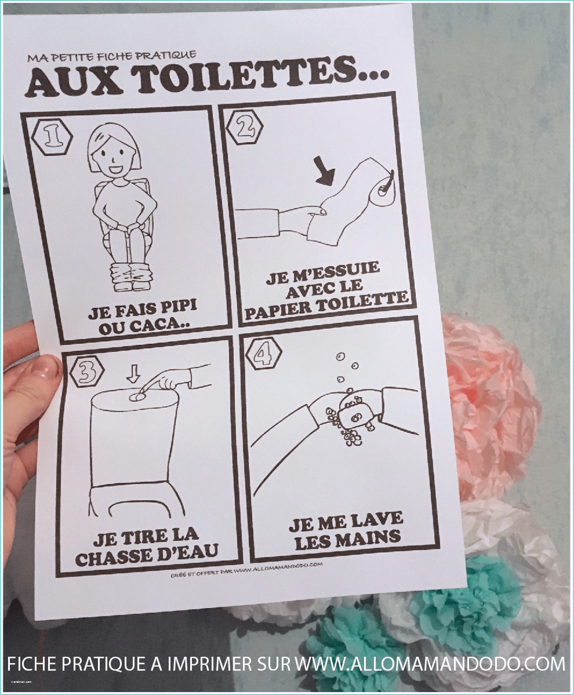 Lave Main Sur Chasse Deau Fiche Pratique "aux toilettes" à Imprimer