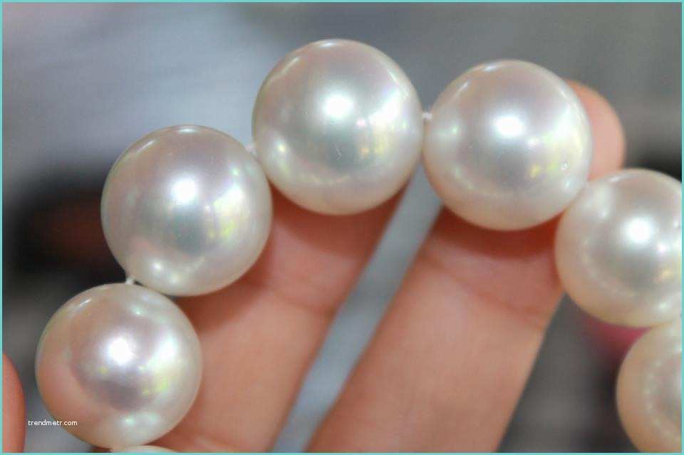 Le Perle Di Fily Perle Dei Mari Del Sud Le Più Grandi E Preziose