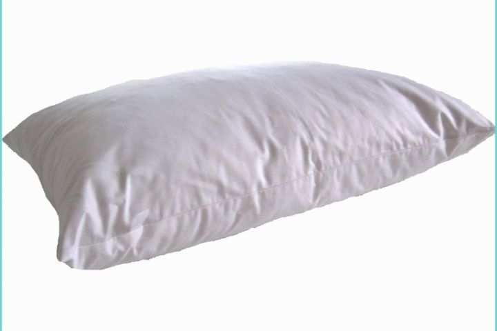 Lit De Plume Duvet Voyageur Achetez En Ligne Notre oreiller Naturel Plume Blanc format