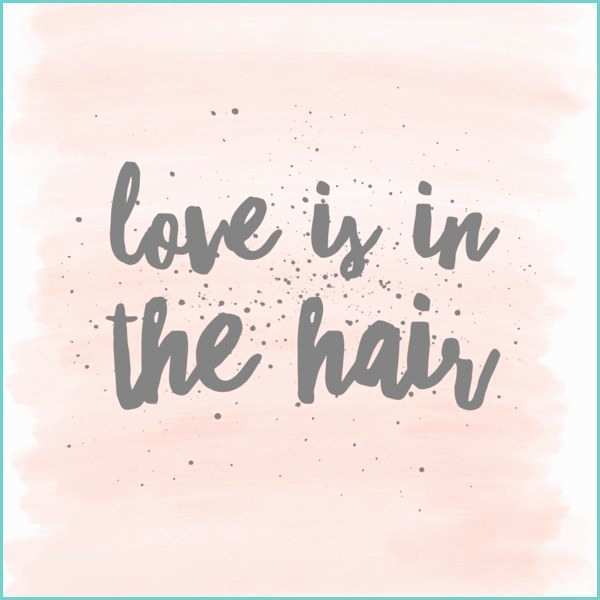 Love is In the Hair Quote Best 25 Hair Quotes Ideas On Pinterest