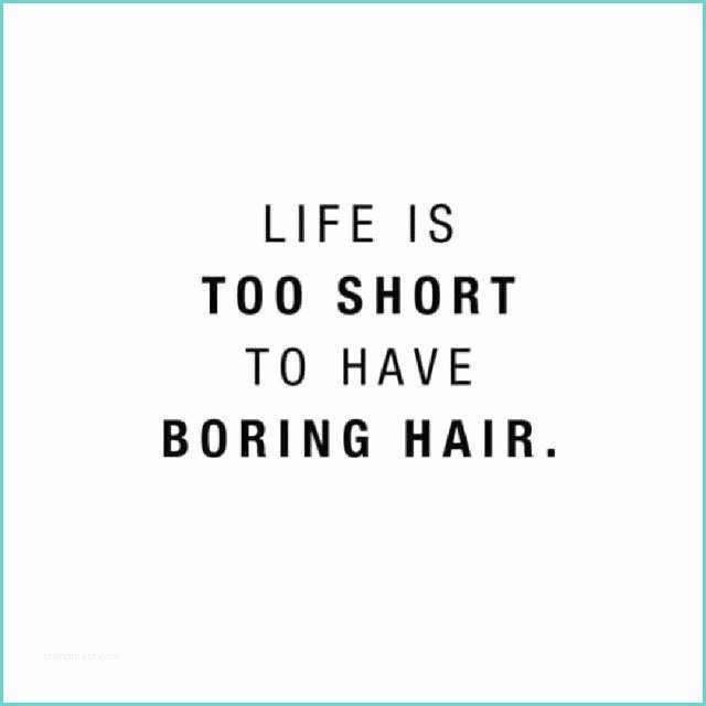 Love is In the Hair Quote Hair Color Quotes Quotesgram