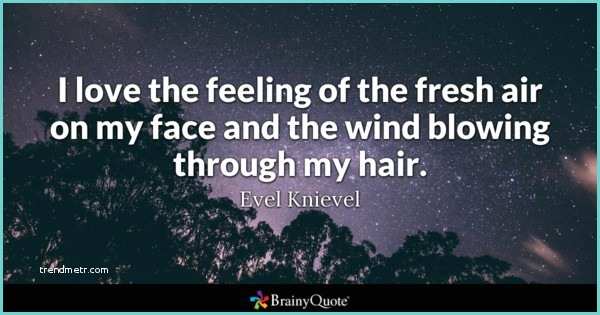 Love is In the Hair Quote Hair Quotes Brainyquote