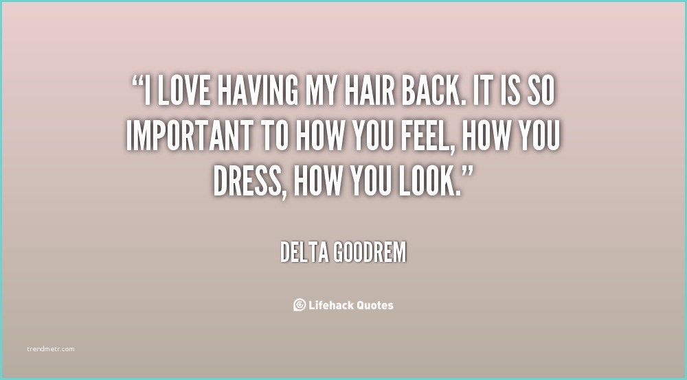 Love is In the Hair Quote I Love My Hair Quotes Quotesgram