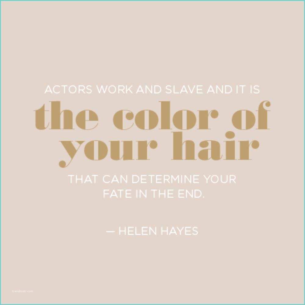Love is In the Hair Quote Quote Of the Day