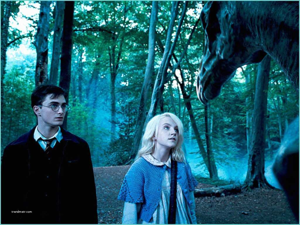 Luna Harry Potter Harry Potter Luna Lovegood Et James Potter Amoureux