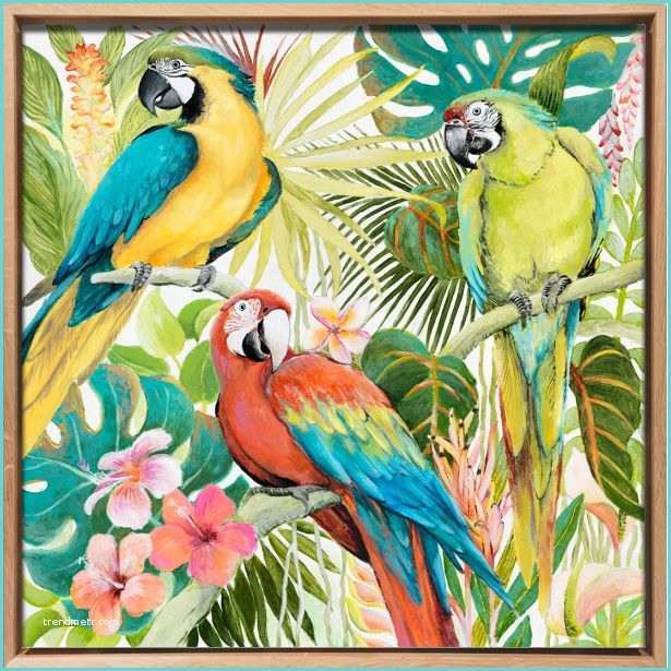 Maison Du Monde Tableau Perroquet Tableau Animaux Trio De Perroquets Multicolores Dans La