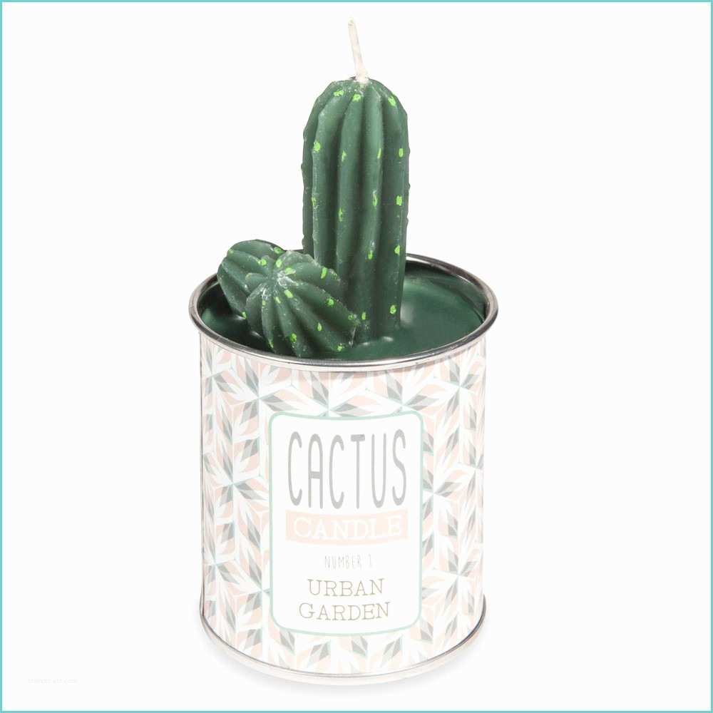 Maisons Du Monde Bougies Bougie Cactus Vert Et Rose Garden