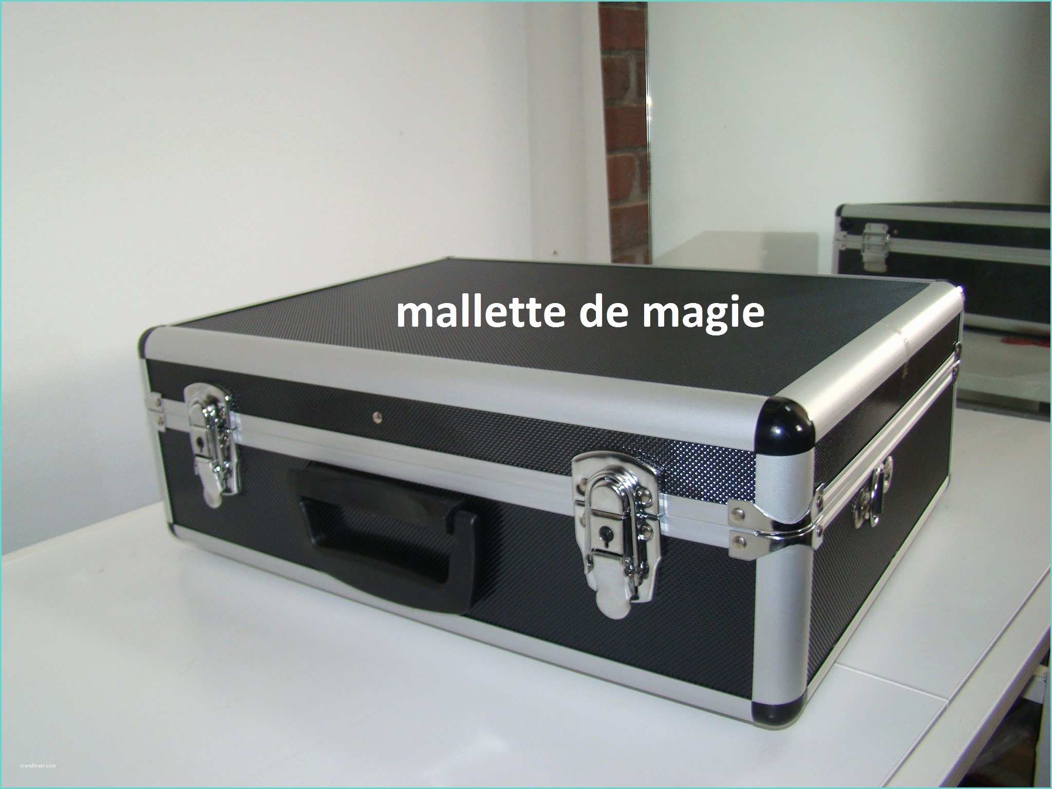 Malette De Rangement Leroy Merlin 34 Malette Aluminium Leroy Merlin Idees