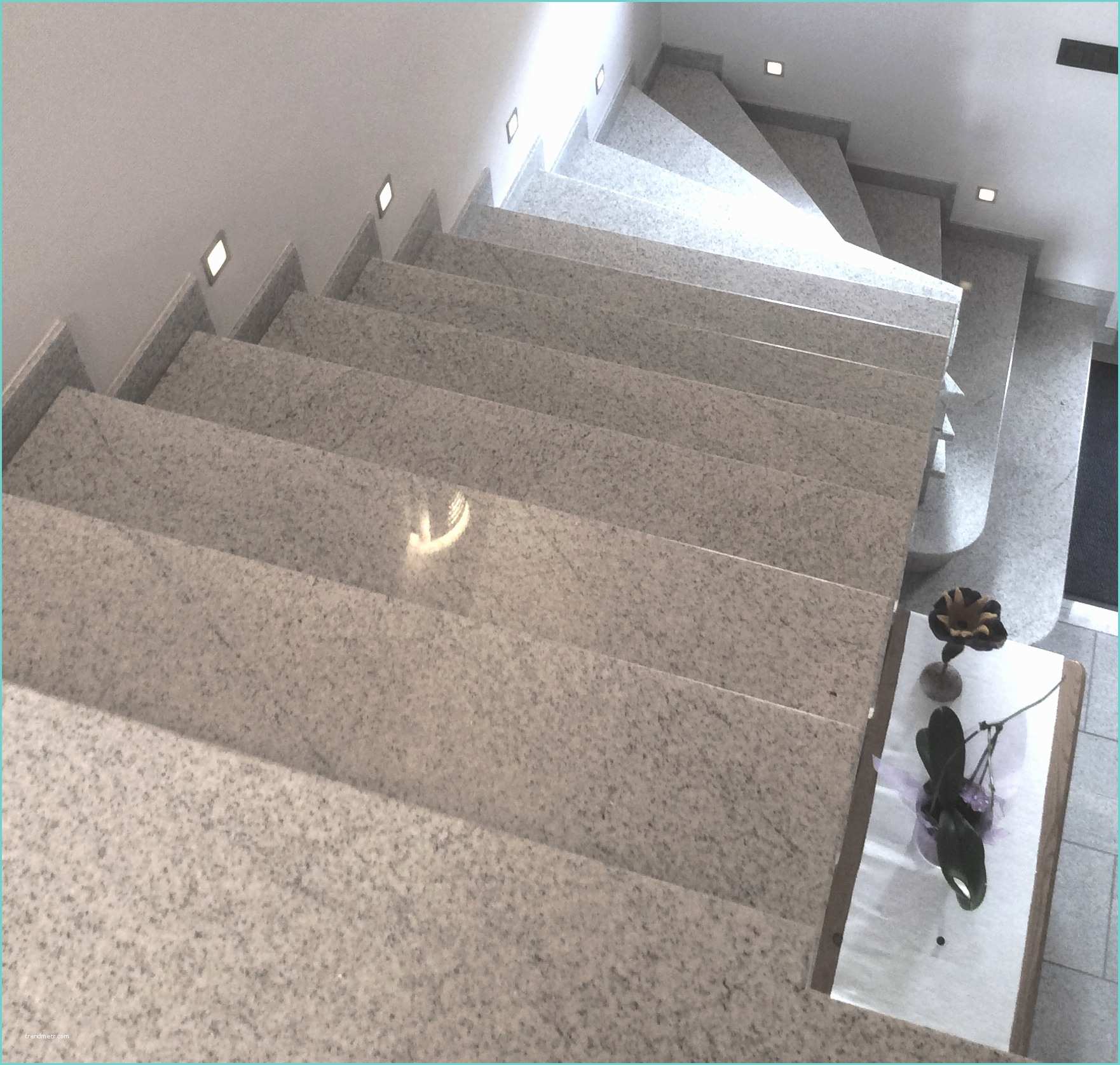 Marbre Pour sol Interieur Revêtements De sol Et Escalier Intérieur