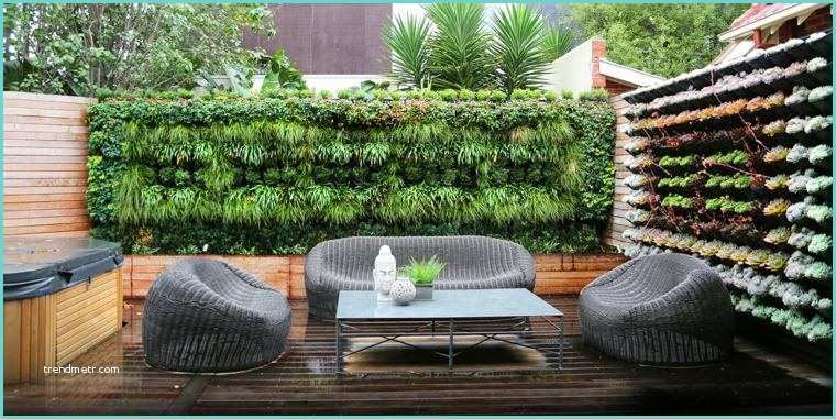 Miroir Exterieur Terrasse Quand Le Brise Vue Naturel Adopte L aspect D Un Mur Végétal