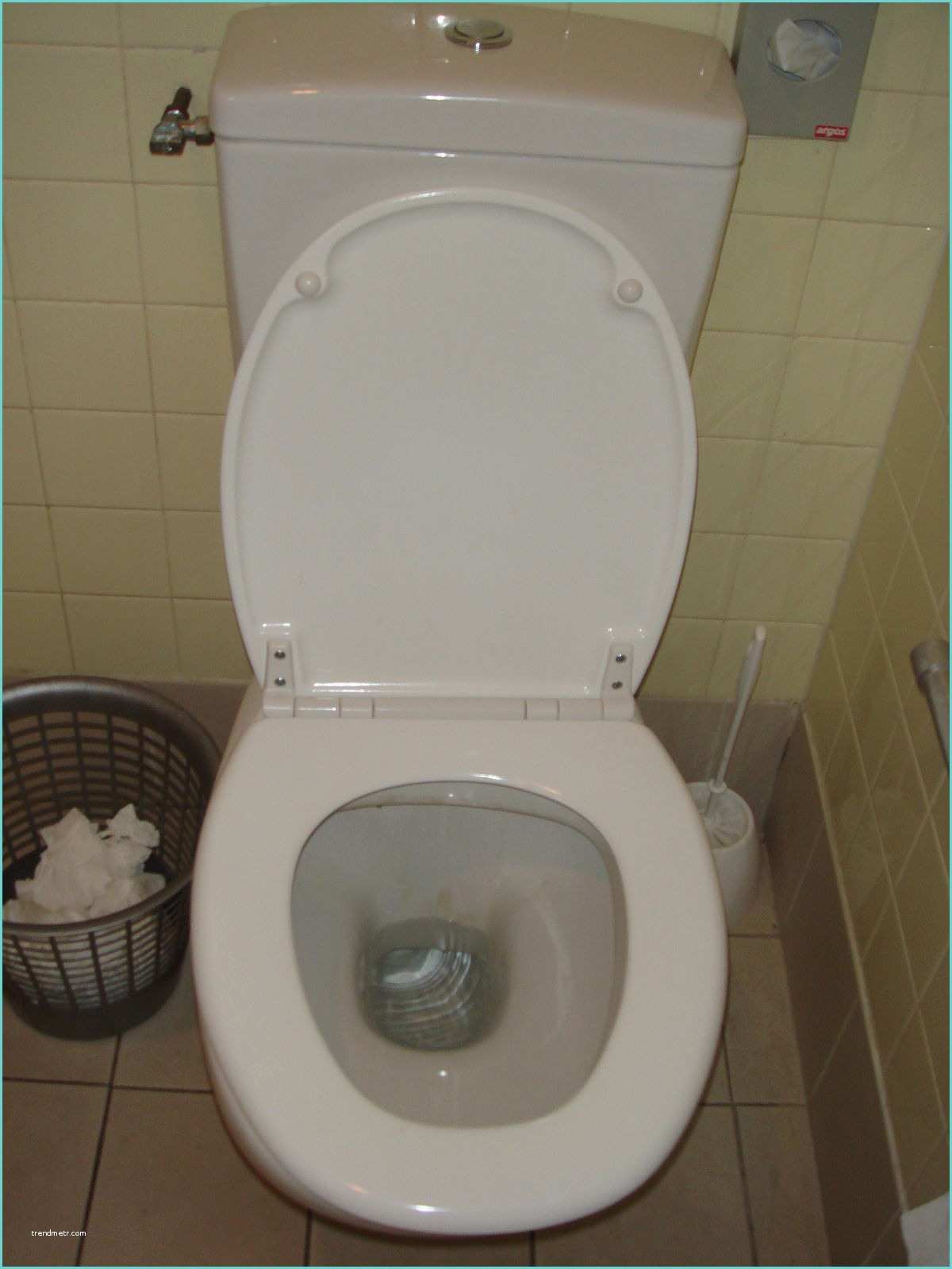 Modele De toilette toilettes — Wikipédia