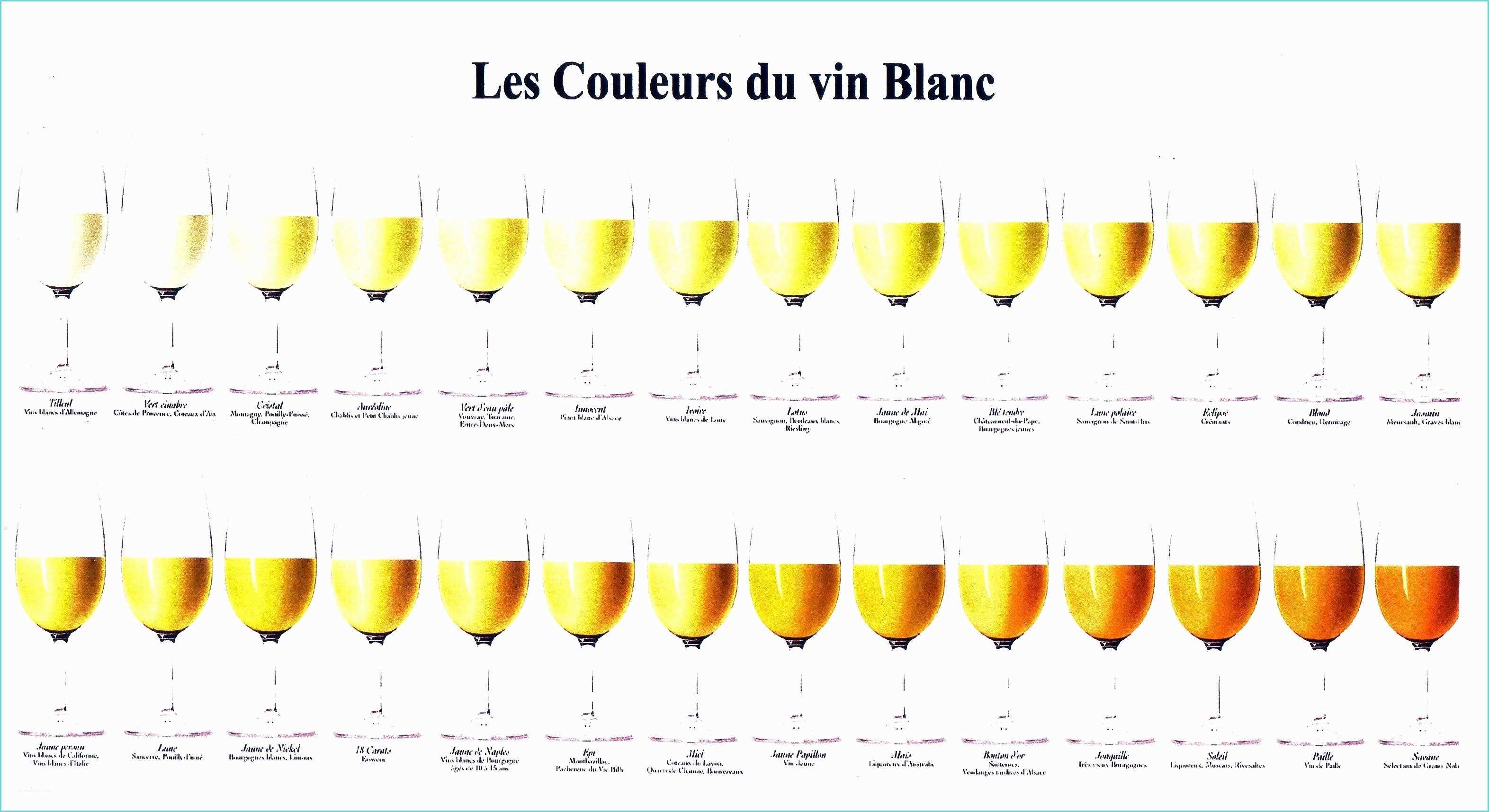 Nuancier De Blanc Le Vin