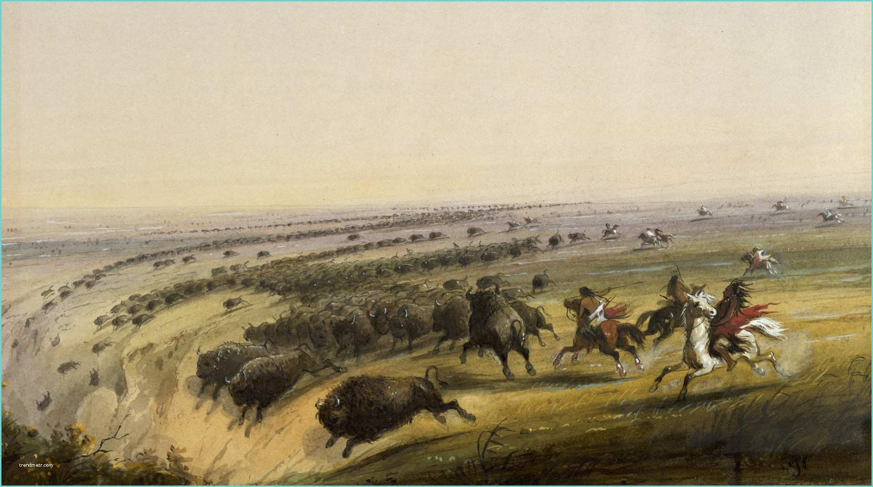 On and Off Images File Alfred Jacob Miller Hunting Buffalo Walters