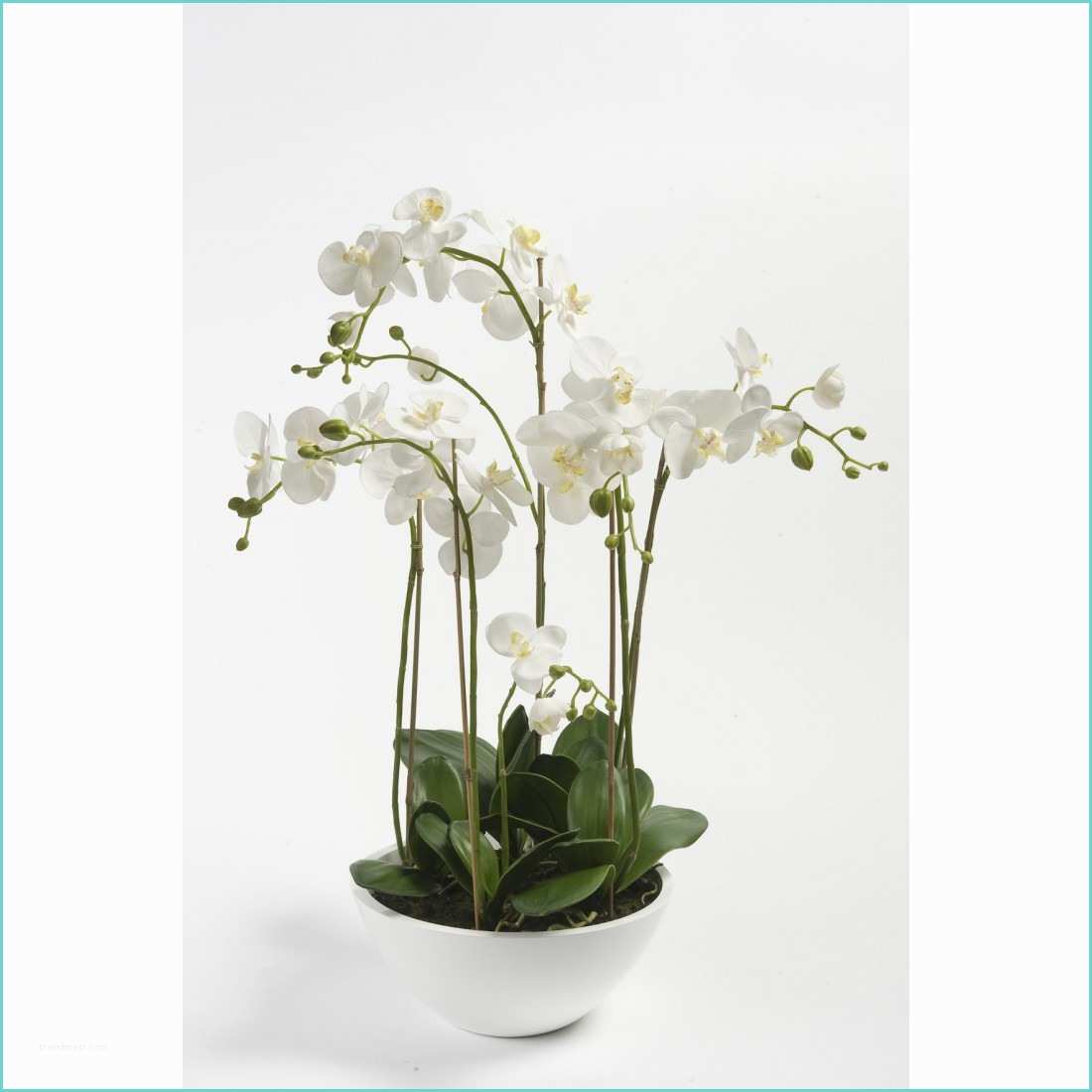 Orchide Artificielle Ikea Entretenir orchide Pot Good with Entretenir orchide Pot