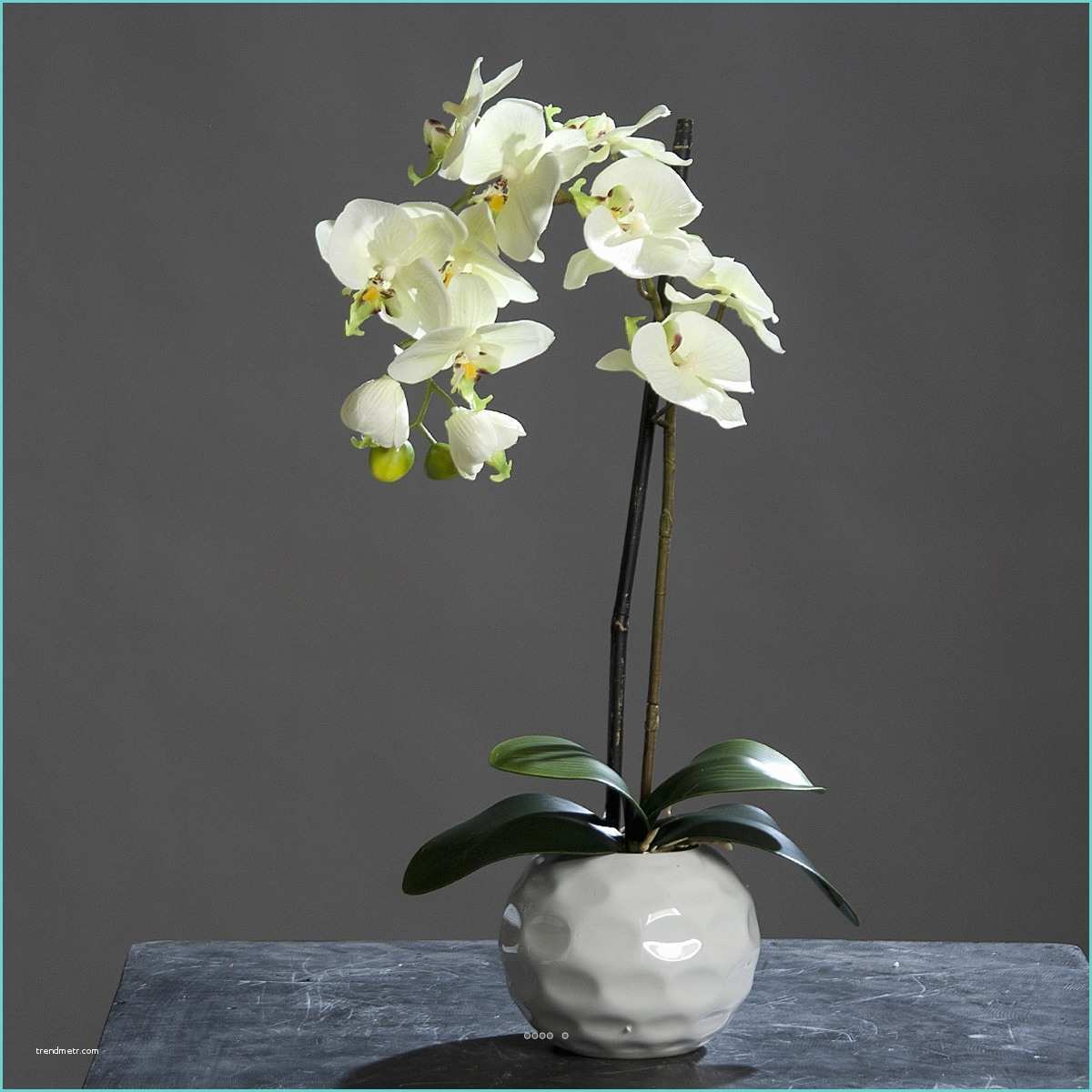 Orchide Artificielle Ikea orchidee Artificielle 1 Hampe En Pot Ceramique Blanc H 46