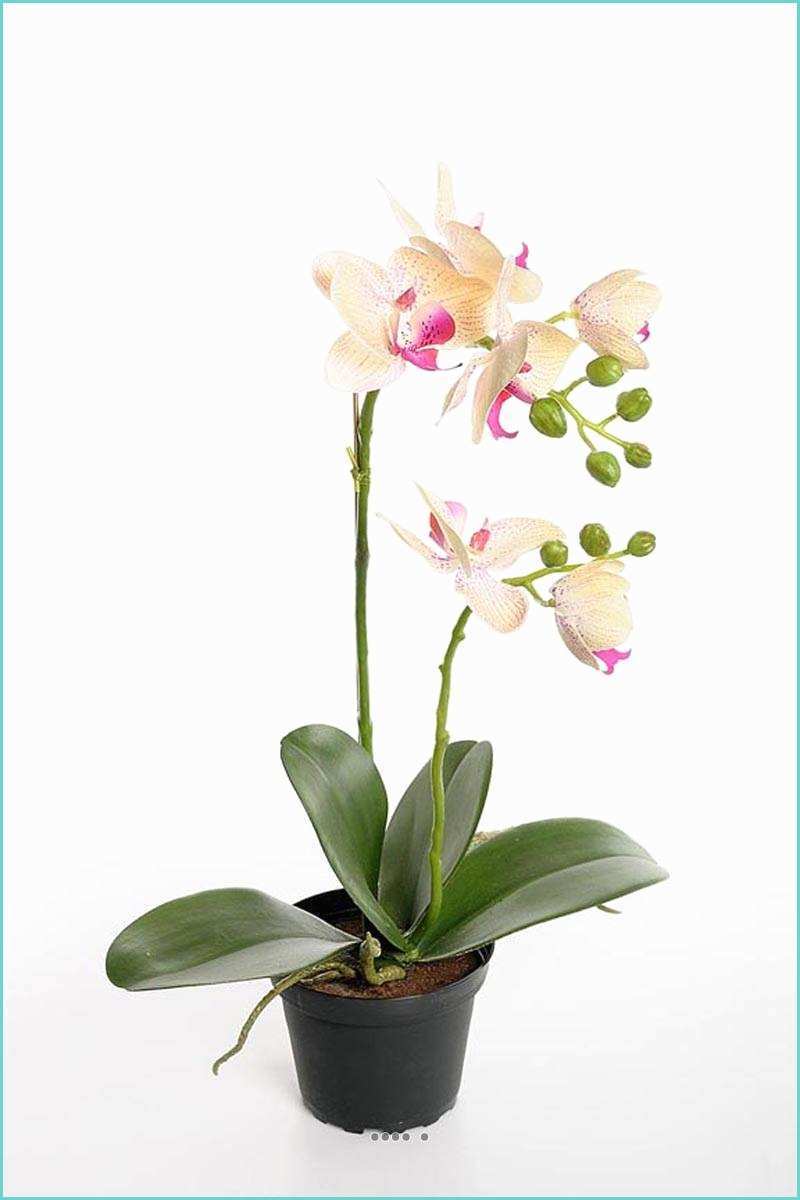 Orchide Artificielle Ikea orchidee Artificielle 2 Hampes En Pot H 40 Cm toucher Reel